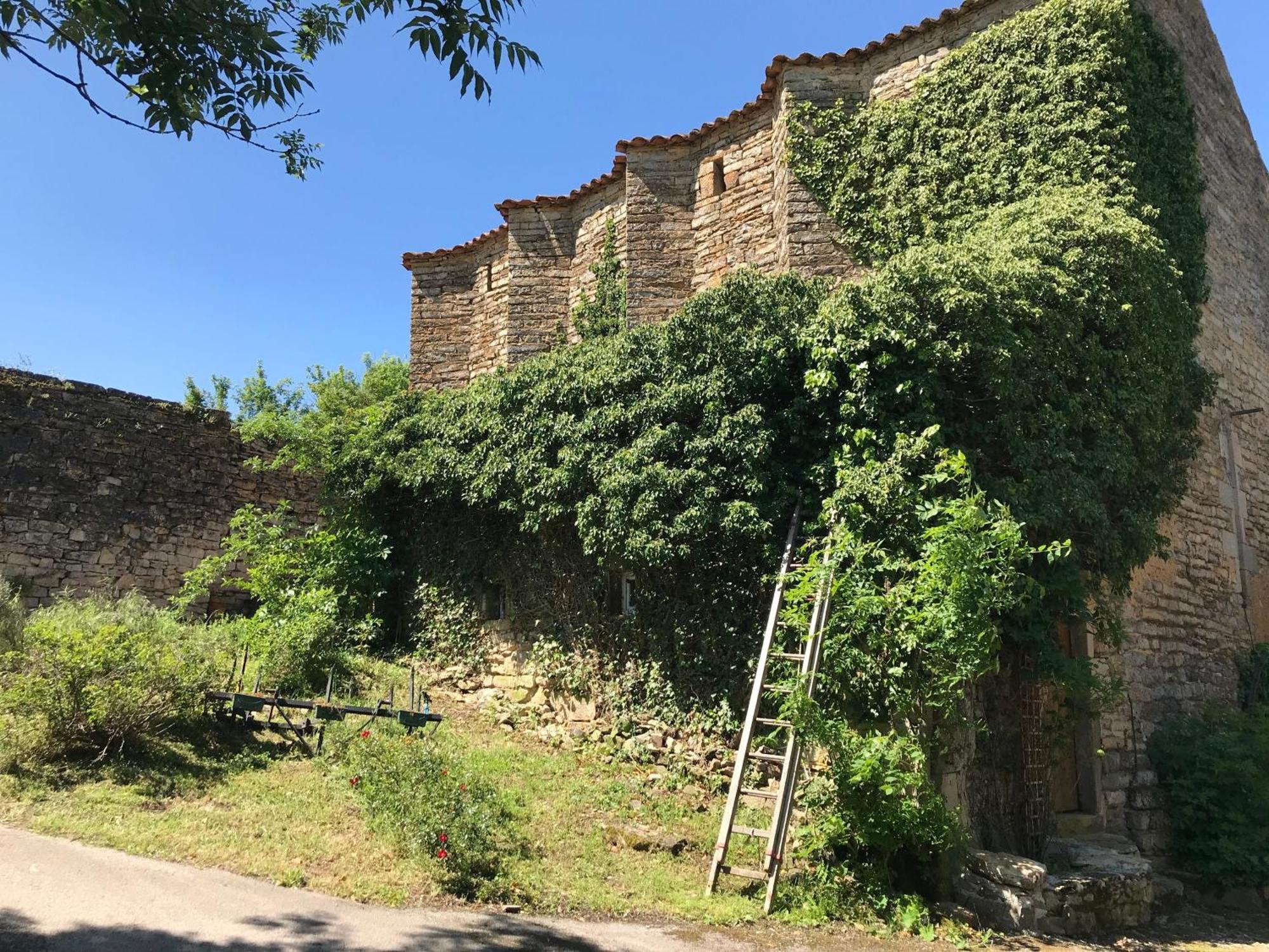 Domaine D'Alcapies Bed & Breakfast Saint-Jean-dʼAlcapiès Eksteriør bilde